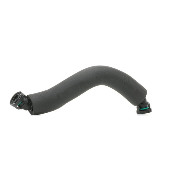 RIDEX 1600H16000064 Slang, vevhusventilation VW Amarok Flak / Chassi (S1B, S6B, S7B) 160 hk Bensin kostnad