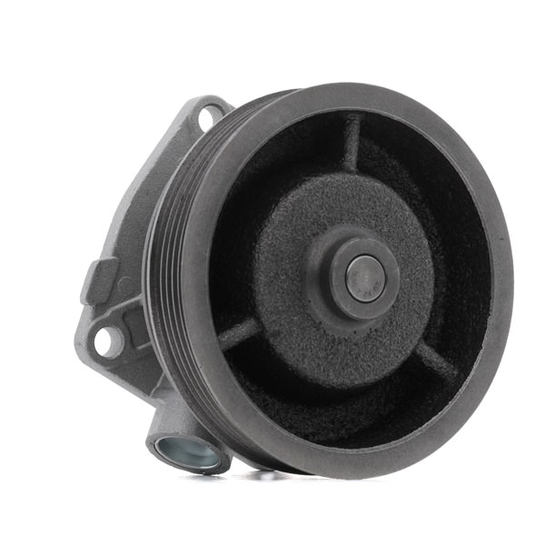 STARK SKWP-0520588: Pompe à eau Nbr. dents: 5