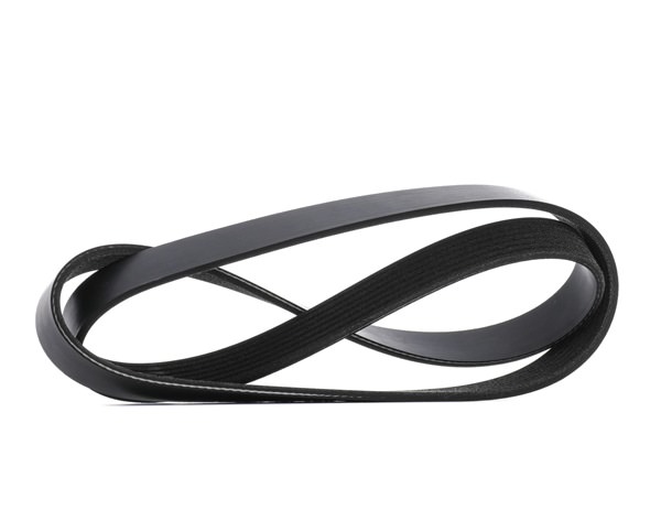 RIDEX 305P0603: Keilrippenriemen 1236mm, Rippenanzahl: 7