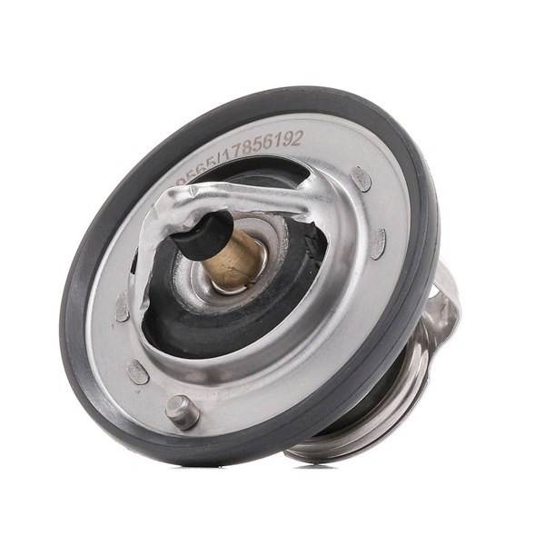 RIDEX 316T0407 Termosztát KIA SPORTAGE (SL) 1.6 LPG 135 LE Benzin/Autogáz (LPG)