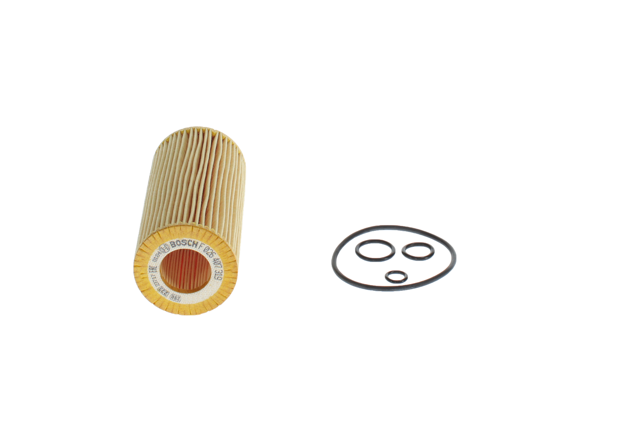 BOSCH F 026 407 319: Ölfilter mit Dichtungen