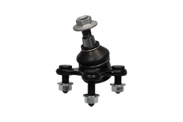 KAVO PARTS SBJ-10008 Podpora- / Kloub SEAT Leon IV (KL1) 143 HP Nafta cena