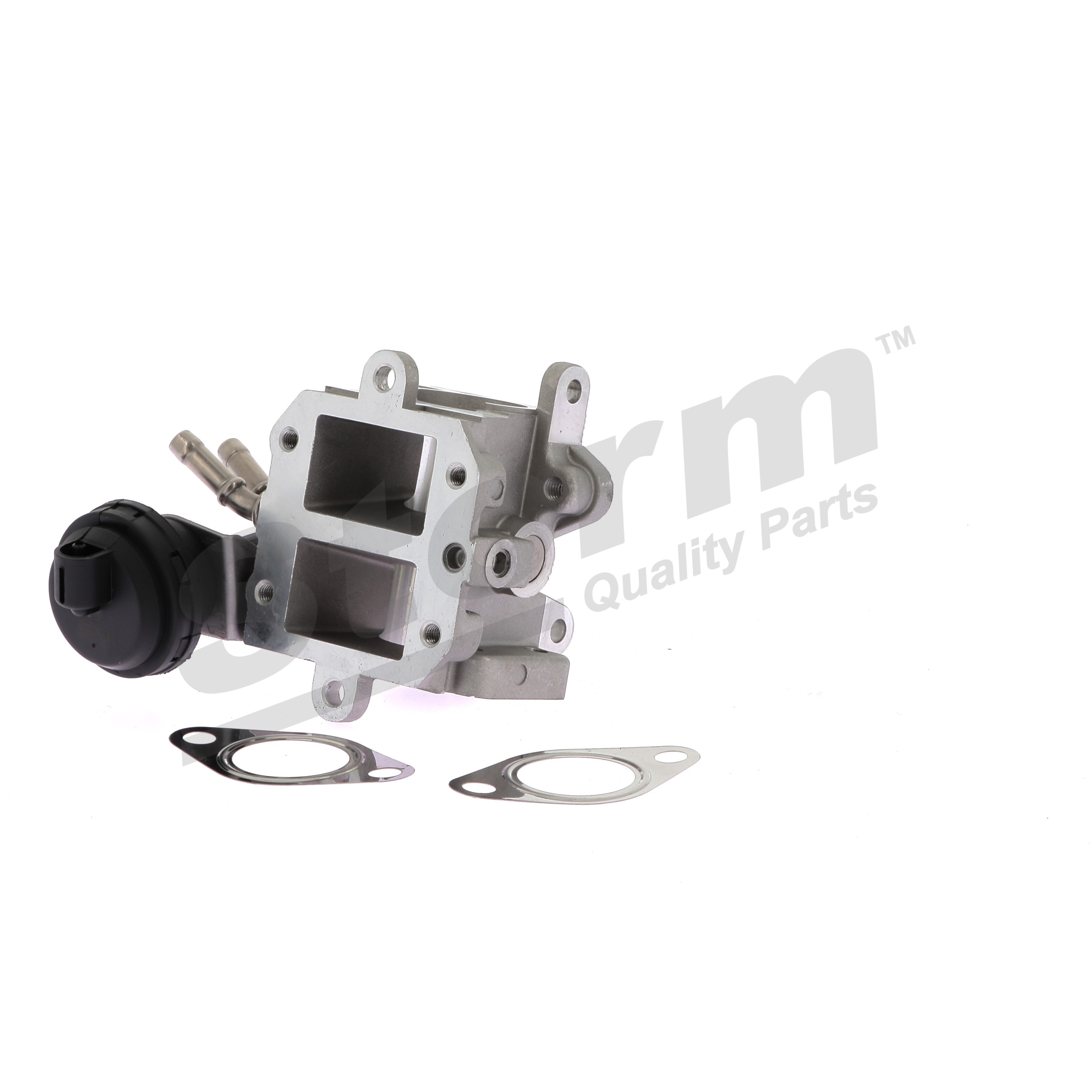 STORM QUALITY PARTS 9096: AGR-Ventil mit Dichtungen
