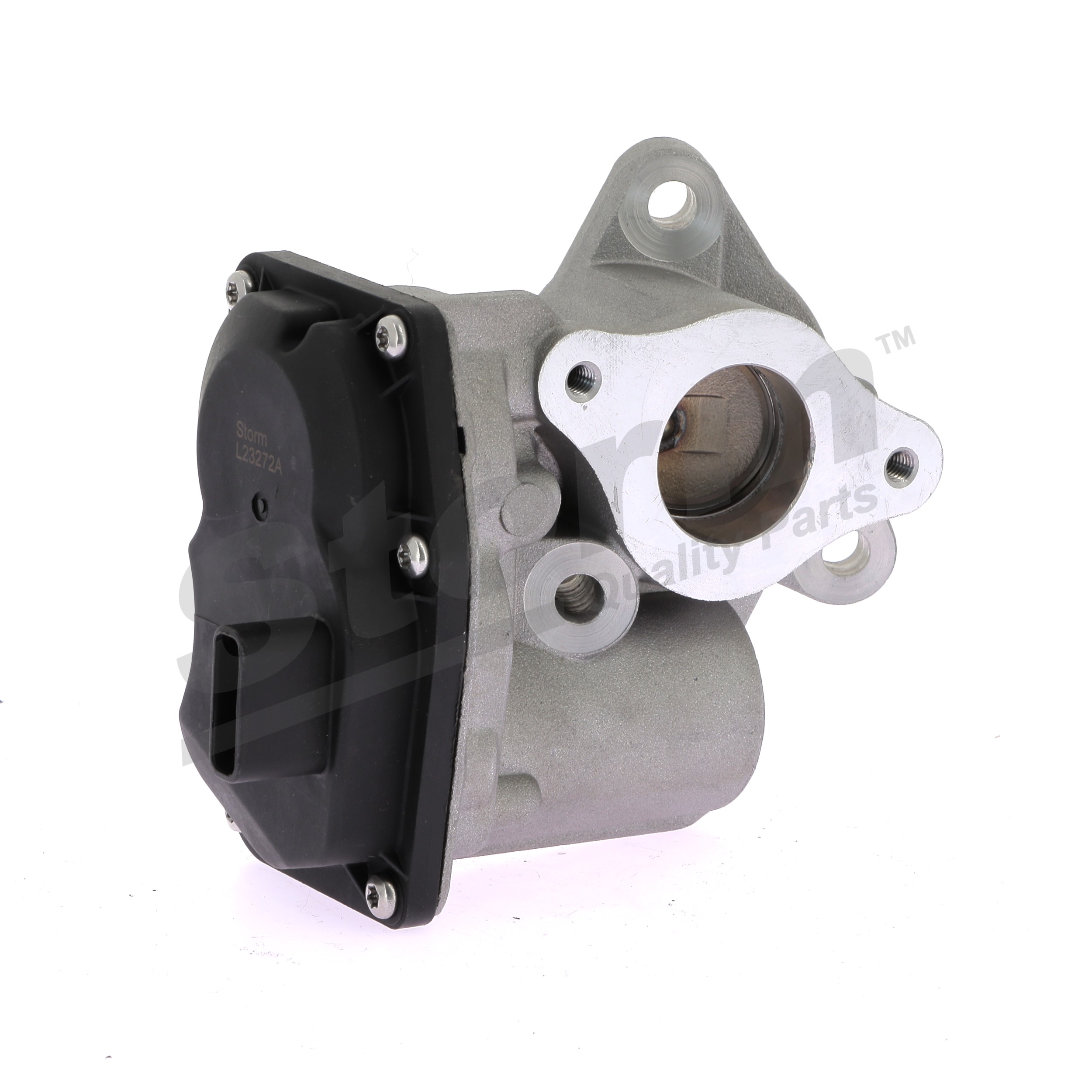 STORM QUALITY PARTS 9098: AGR-Ventil ohne Dichtungen
