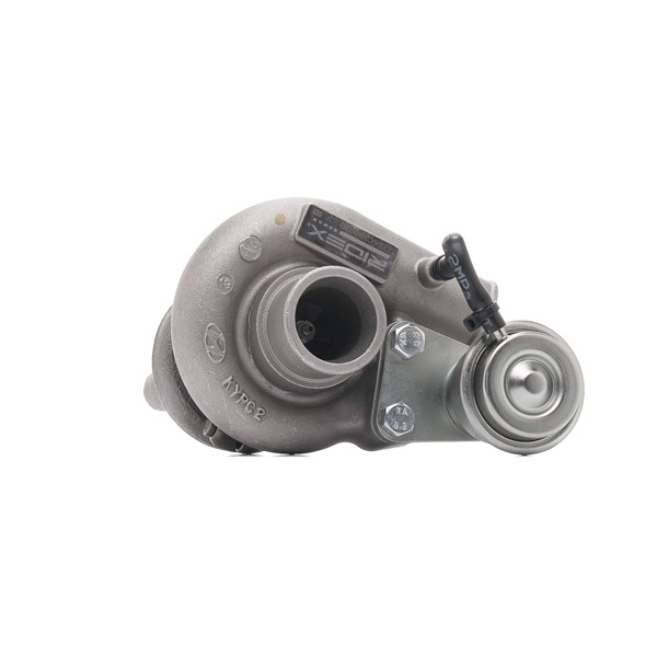 RIDEX REMAN 2234C10081R: Τουρμπίνα