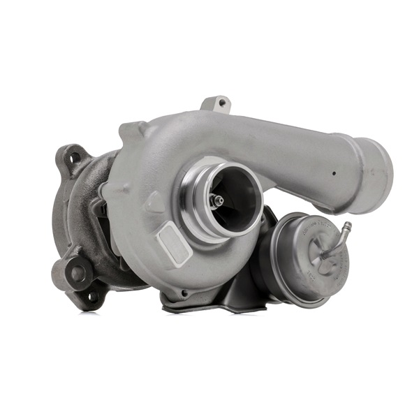 RIDEX REMAN 2234C10151R: Turbolader mit Dichtungen