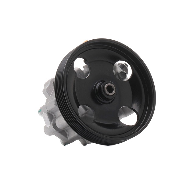 RIDEX REMAN 12H0095R Servopumpe CITROЁN C5 II Break (RE_) 109 PS Diesel Kosten