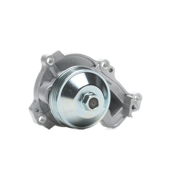 RIDEX 1260W0618 Vandens siurblys DS DS 4 II 131 AG benzinas kaina