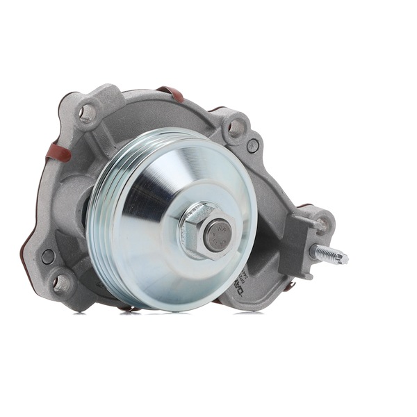 DAYCO DP2174: Pompa acqua