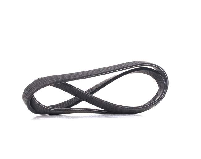 METZGER 6DPK1225: Multiriem 1225mm, Ribbenaantal: 6, DAYCO