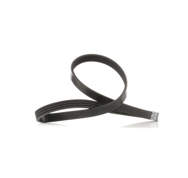 METZGER 6PK841: Correia trapezoidal estriada 841mm, Número de nervuras: 6, CST217