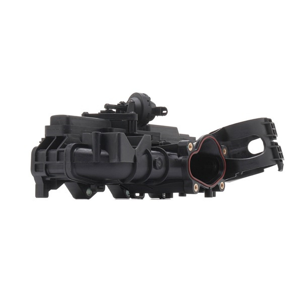RIDEX 1640F0067: Tubo, colector de admissão