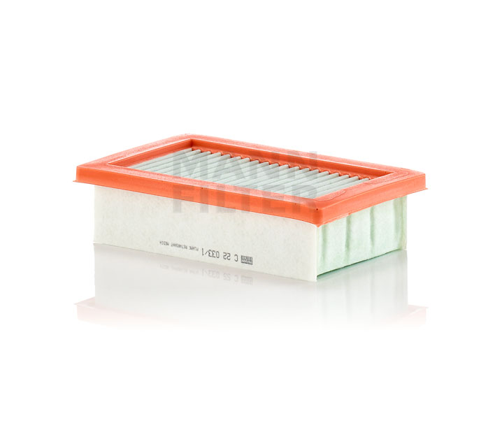 MANN-FILTER C 22 033/1: Gaisa filtrs