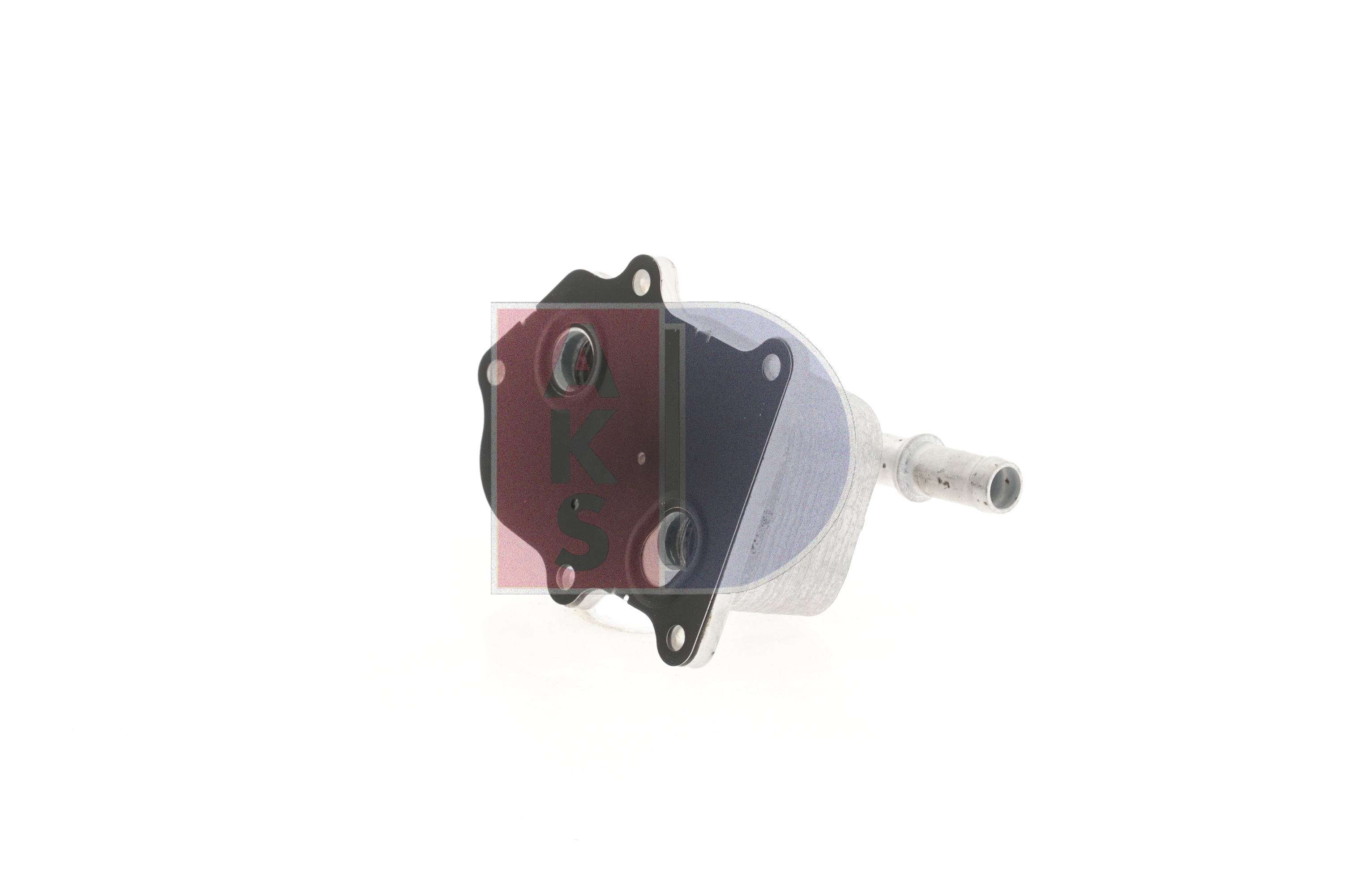 AKS DASIS 566023N: Radiatore olio motore
