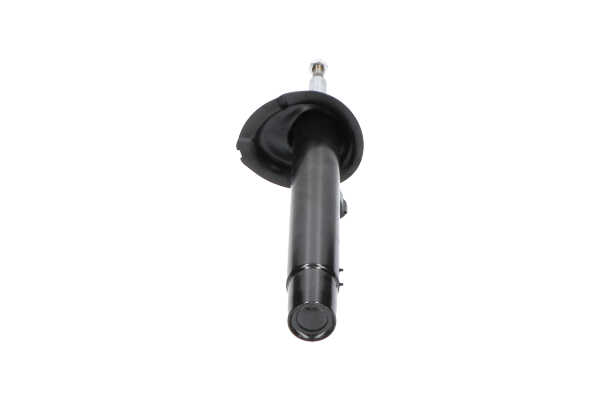 KAVO PARTS SSA-10424: Amortiguador Eje delantero, derecha, Presión de gas, Columna de amortiguador, Amortiguador con muelle de tope