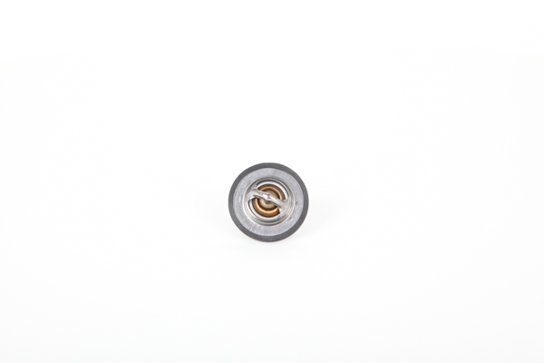 Continental 28.0200-4010.2 Kühlwasserthermostat RENAULT CLIO 2 (BB0/1/2, CB0/1/2) 110 PS Benzin Kosten
