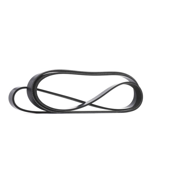 RIDEX 305P0639: Multireim 2453mm, Ribbeantall: 6