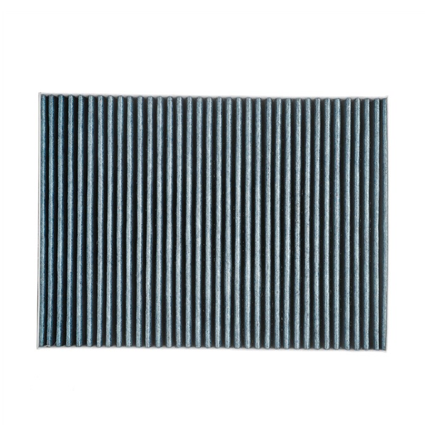 RIDEX PLUS 424I0489P: Interieurfilter Carbon filter