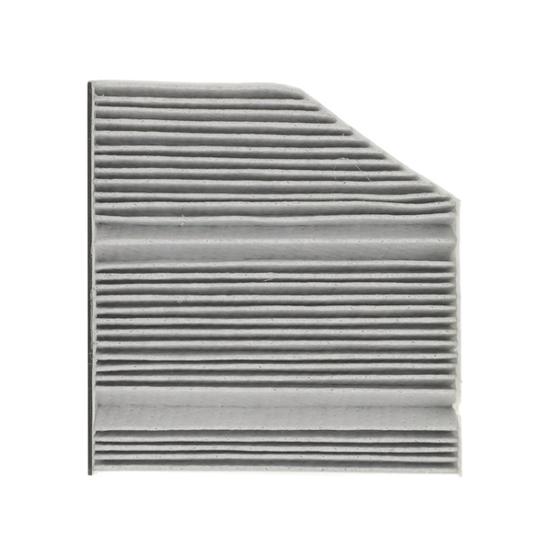 RIDEX PLUS 424I0616P: Interieurfilter Met antibacteriële werking