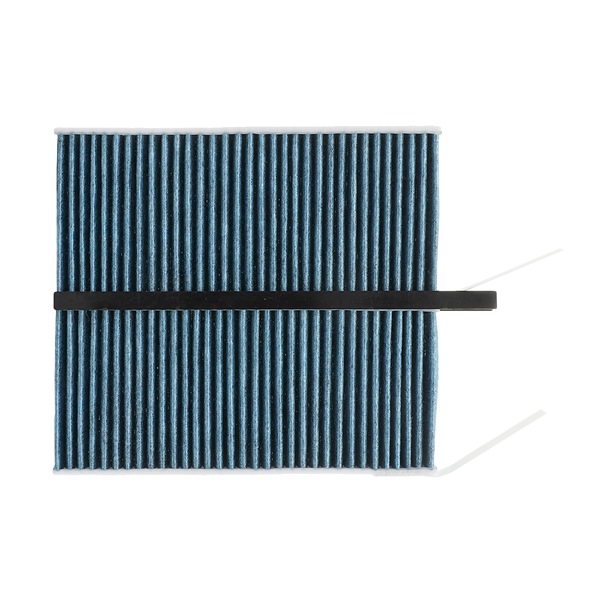 RIDEX PLUS 424I0629P: Filtrs, Salona telpas gaiss Aktivētās ogles filtrs ar polifenolu, ar antibakteriālu efektu, Smalko daļiņu gaisa filtrs (PM 2.5), ar fungicīdo efektu