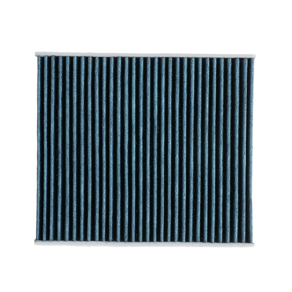 RIDEX PLUS 424I0513P Salono filtras FORD C-MAX (DM2) 125 AG benzinas / etanolis kaina