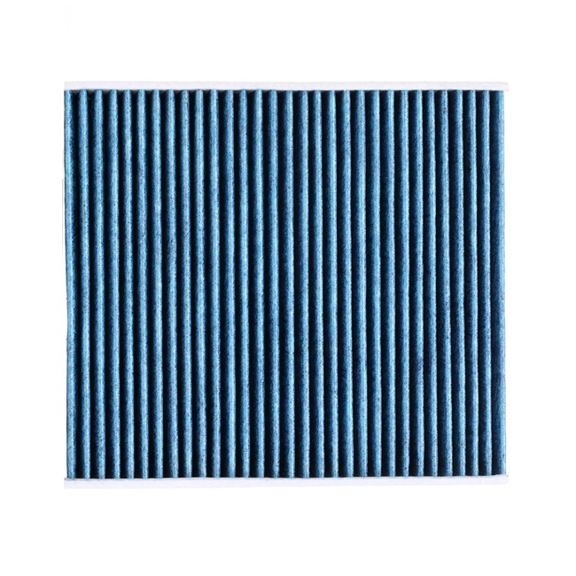 RIDEX PLUS 424I0511P: Filtro abitacolo Filtro al carbone attivo, Filtro per polveri fini (PM 2.5), con effetto antiallergico, con effetto antibatterico