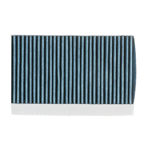 RIDEX PLUS 424I0510P: Filtro abitacolo Filtro al carbone attivo, Filtro per polveri fini (PM 2.5), con effetto antiallergico, con effetto antibatterico