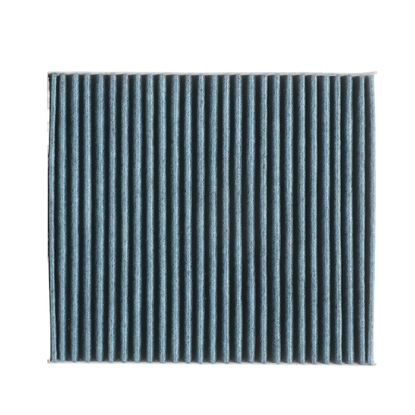 RIDEX PLUS 424I0613P: Interieurfilter Met anti-allergische werking, Met antibacteriële werking, Fijnstoffilter (PM 2.5), Met schimmelwerende werking