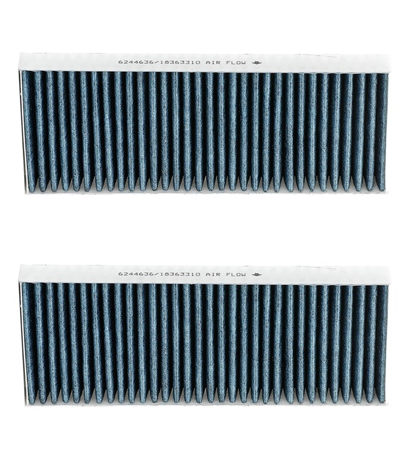 RIDEX PLUS 424I0744P: Innenraumfilter Feinstaubfilter (PM 2.5), Aktivkohlefilter, mit antiallergischer Wirkung, mit antibakterieller Wirkung, mit fungizider Wirkung