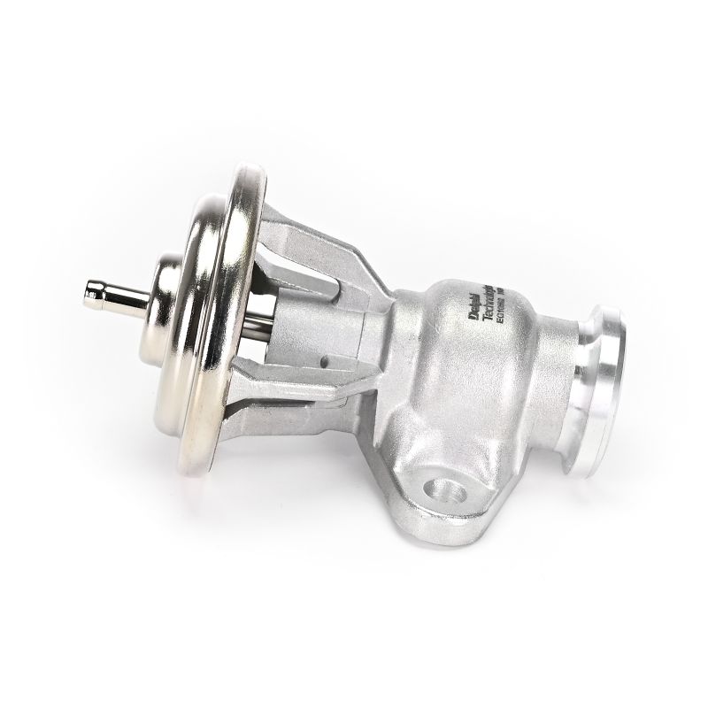DELPHI EG10592-12B1: EGR klep Met pakkingen, Zonder AGR koeler