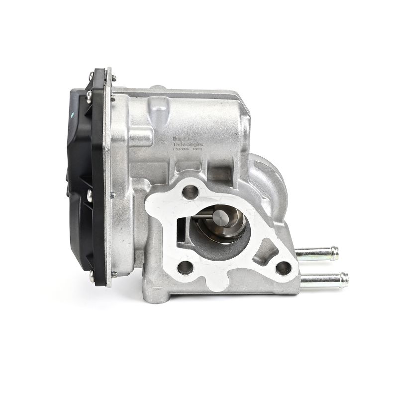 DELPHI EG10624-12B1: EGR klep Zonder AGR koeler