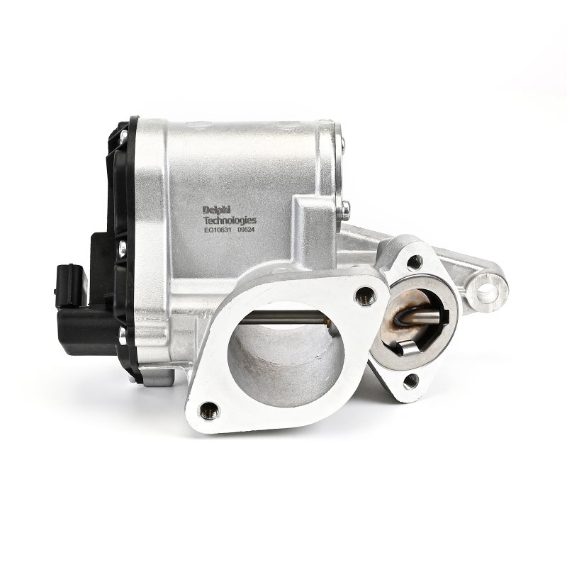 DELPHI EG10631-12B1: Válvula EGR
