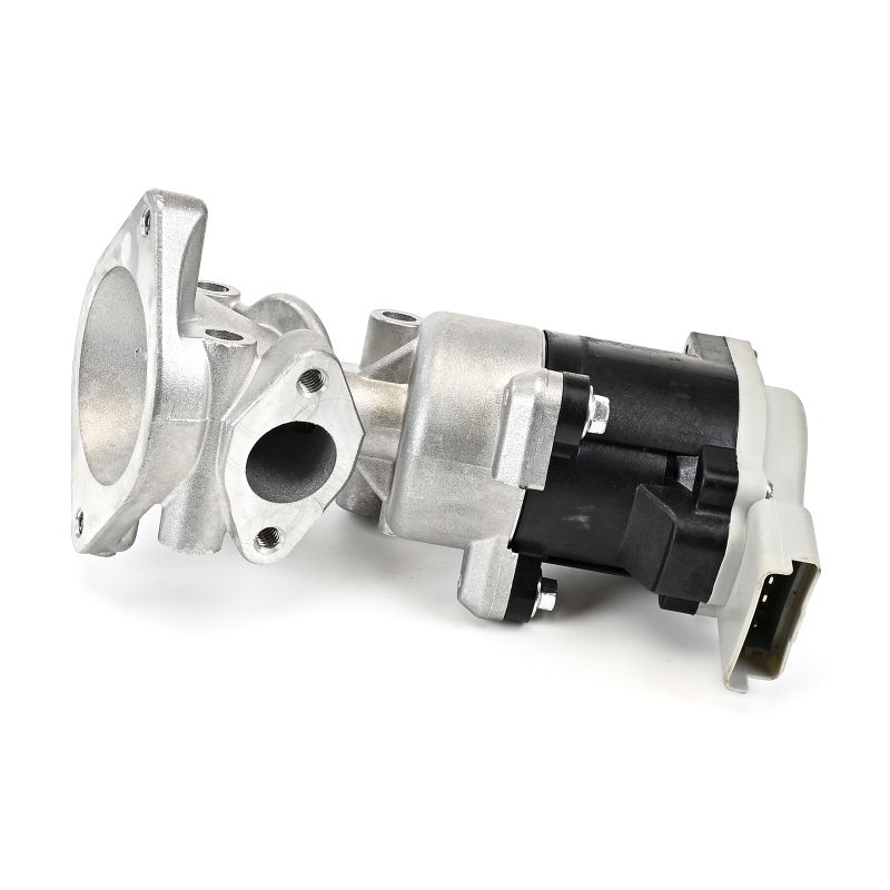 DELPHI EG10640-12B1: EGR klep