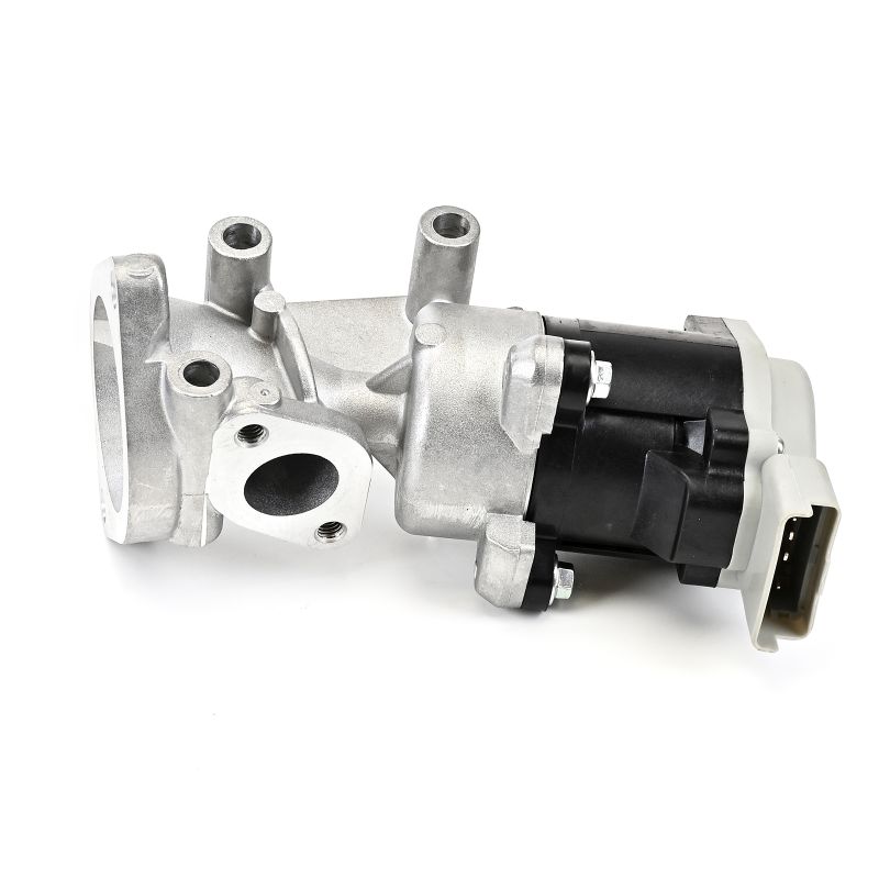 DELPHI EG10641-12B1 AGR-Ventil