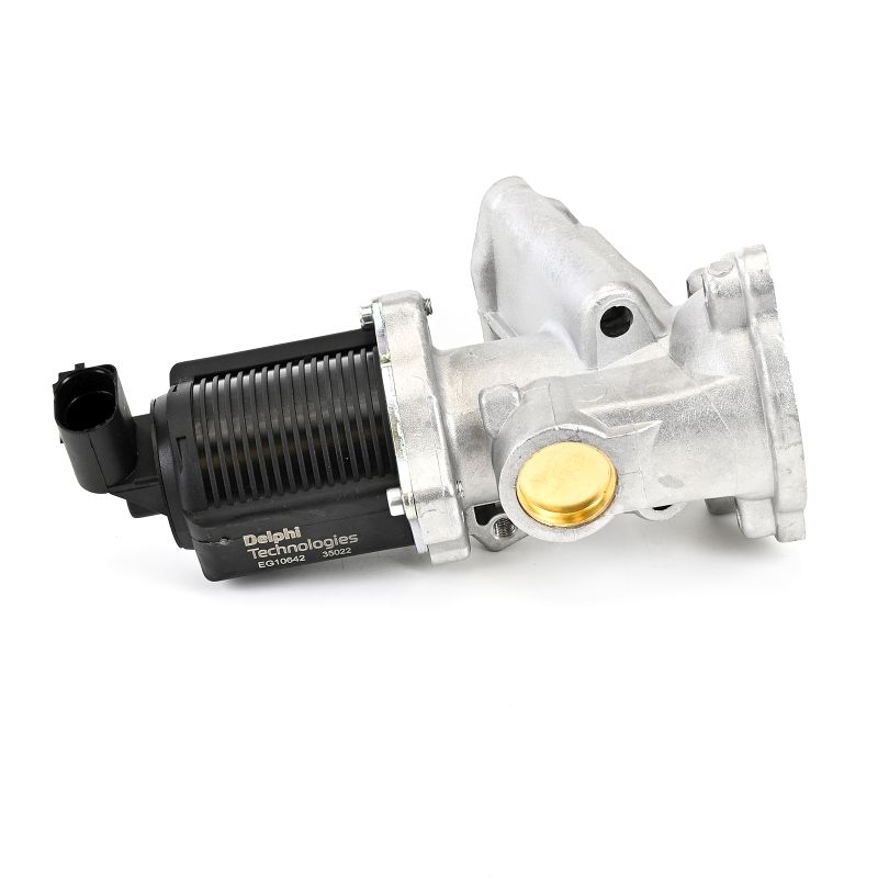 DELPHI EG10642-12B1 AGR-Ventil