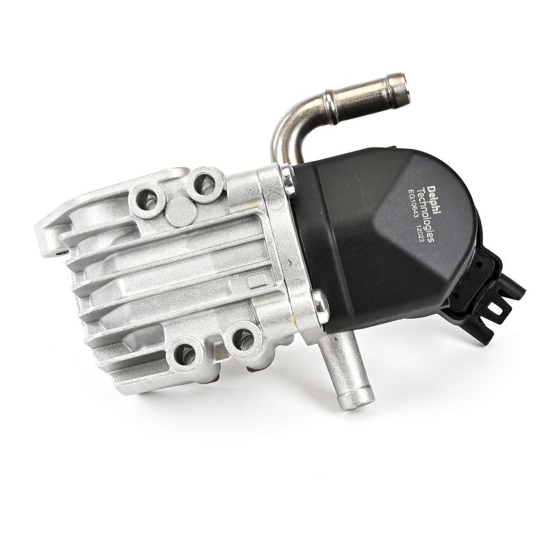 DELPHI EG10643-12B1 AGR-Клапан BMW 3 (E90) 218 K.C. бензин цена