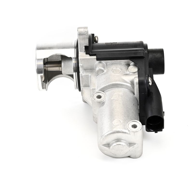 DELPHI EG10645-12B1: EGR klep