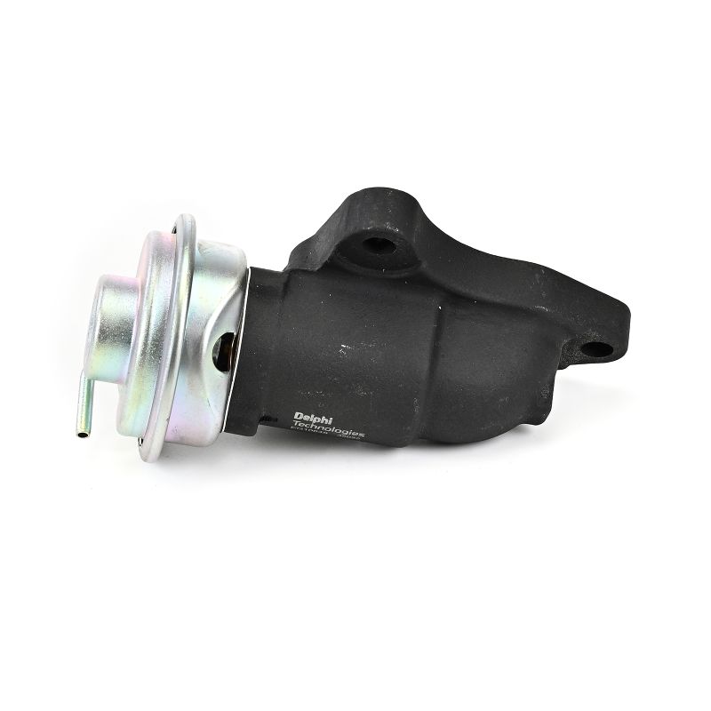 DELPHI EG10648-12B1: EGR klep Met pakkingen, Zonder AGR koeler