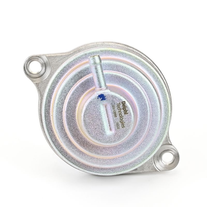 DELPHI EG10656-12B1: EGR klep Zonder pakking, Zonder AGR koeler