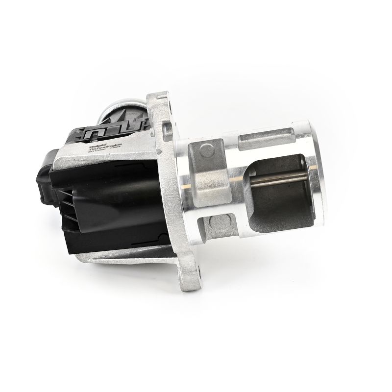 DELPHI EG10658-12B1: EGR-klapp