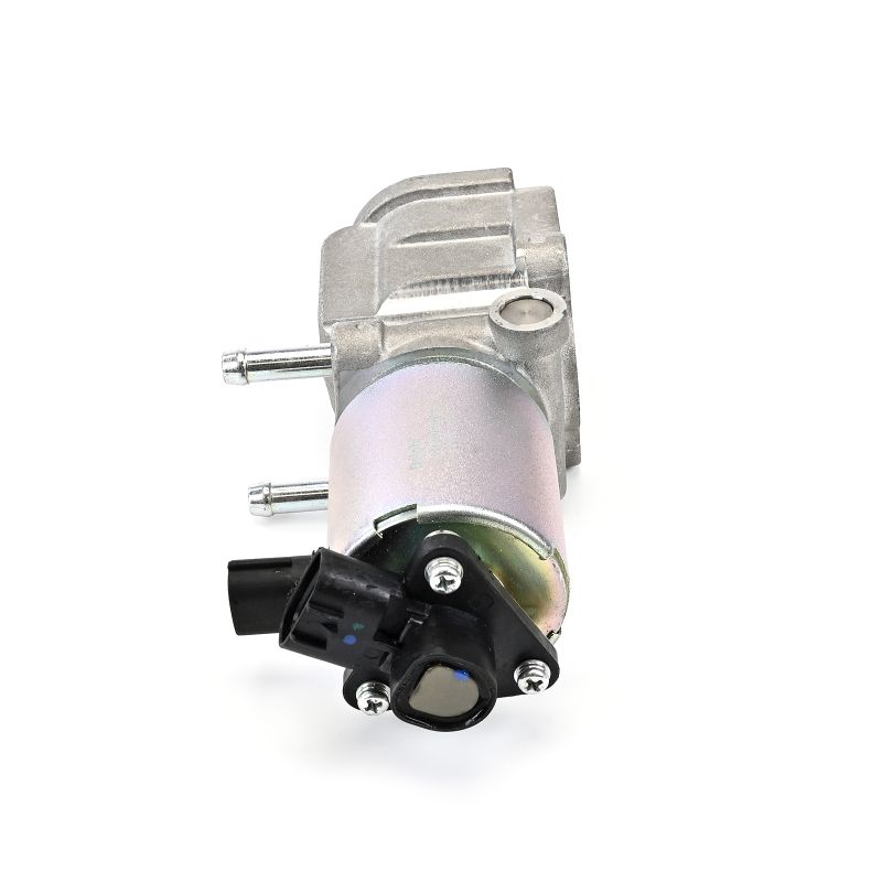 DELPHI EG10660-12B1: EGR-klapp