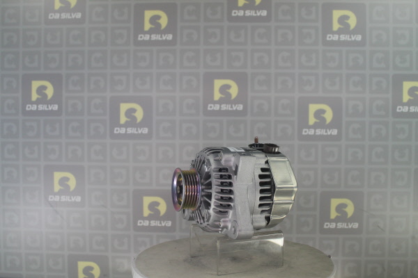 DA SILVA 031112: Lichtmaschine 80A