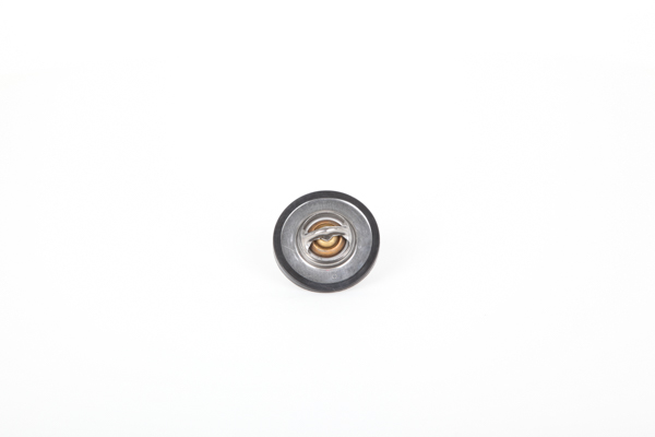 Continental 28.0200-4019.2 Termostats, Dzesēšanas šķidrums RENAULT MEGANE Scenic (JA0/1_) 64 ZS Dīzelis cena