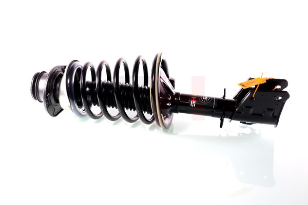GH GH-352399C02: Ansamblu telescop arc Quick-Strut
