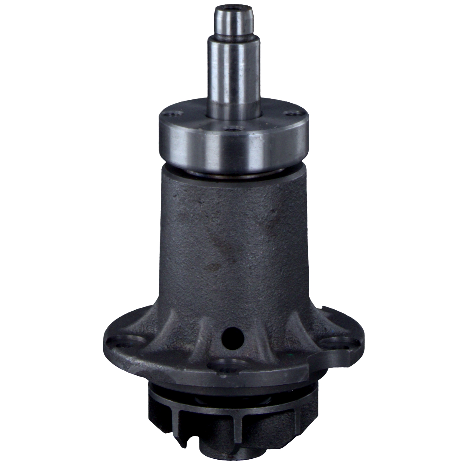 FEBI BILSTEIN 01558: Wasserpumpe mit Dichtung, mit Schrauben