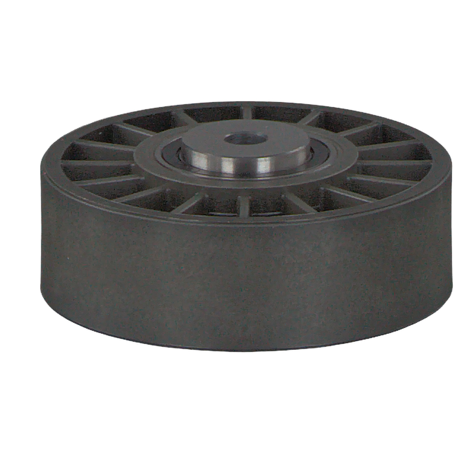 FEBI BILSTEIN 02249: Poulie, tendeur de courroie d'accessoire Ø: 80mm, Ø: 80mm, avec cache
