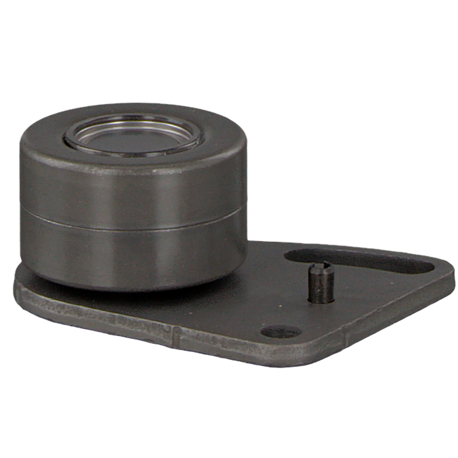 FEBI BILSTEIN 05613: Rola intinzator, curea distributie