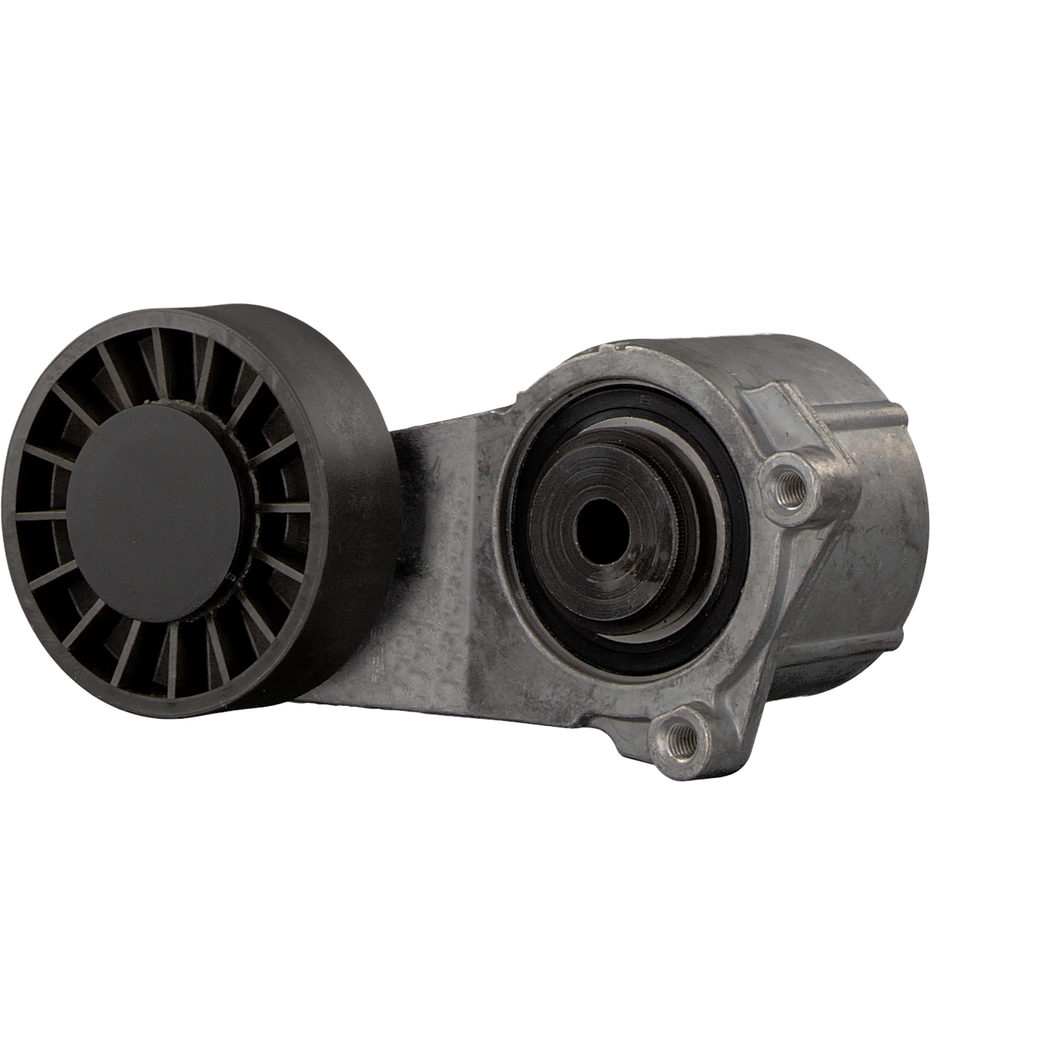 FEBI BILSTEIN 06418: Intinzator curea, curea distributie cu material de atașare/fixare