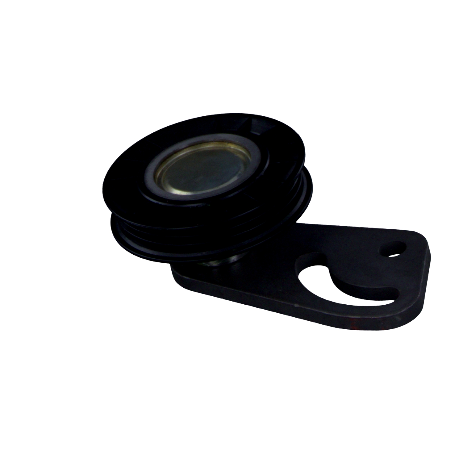 FEBI BILSTEIN 07057: Poulie, tendeur de courroie d'accessoire Ø: 76mm, Ø: 76mm