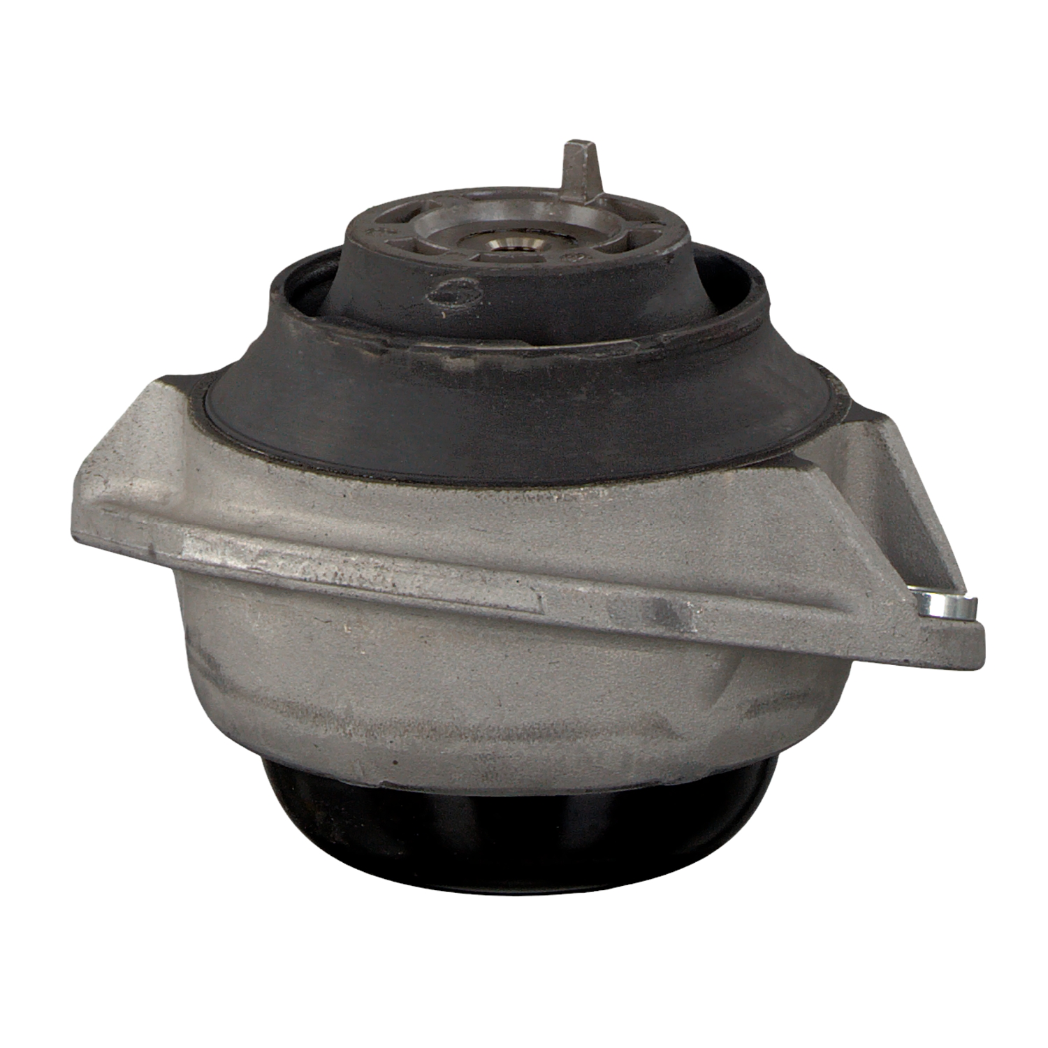 FEBI BILSTEIN 07960: Motorlager vorne, beidseitig